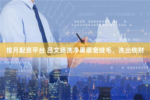 按月配资平台 吕文扬洗净黑萌宠绒毛，洗出钱财