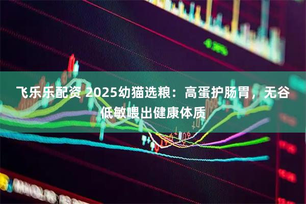 飞乐乐配资 2025幼猫选粮：高蛋护肠胃，无谷低敏喂出健康体质