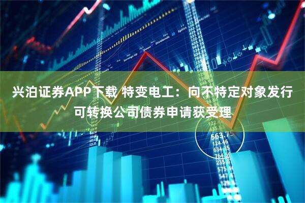 兴泊证券APP下载 特变电工：向不特定对象发行可转换公司债券申请获受理