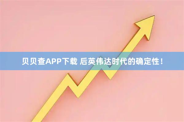 贝贝查APP下载 后英伟达时代的确定性！